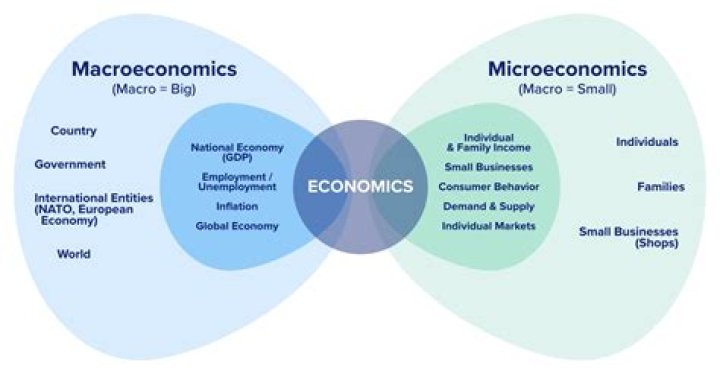 Are economics in demand?