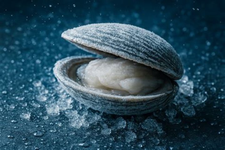 Are frozen clams dead?