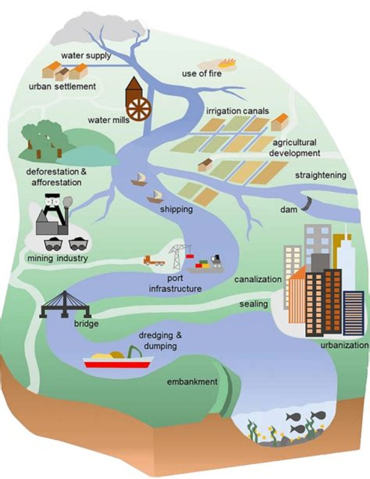 Are runoffs harmful or helpful to watersheds?