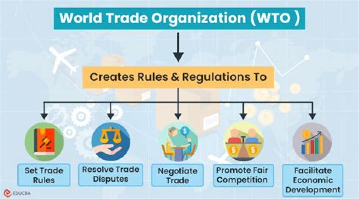 Are wto decisions binding?