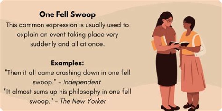 At/in one fell swoop definition?