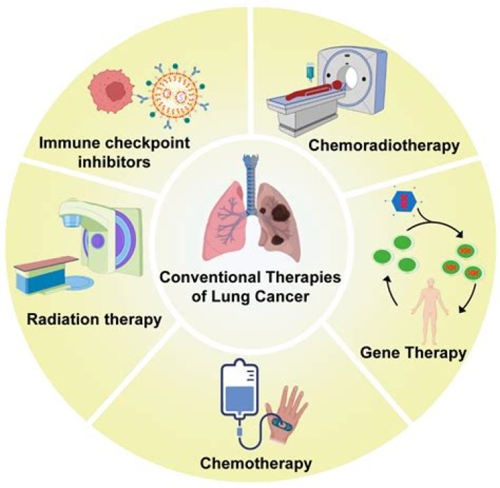 Can chemotherapeutic drugs cure cancer?