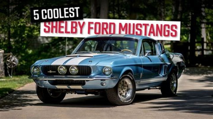 Can mustangs show jump?