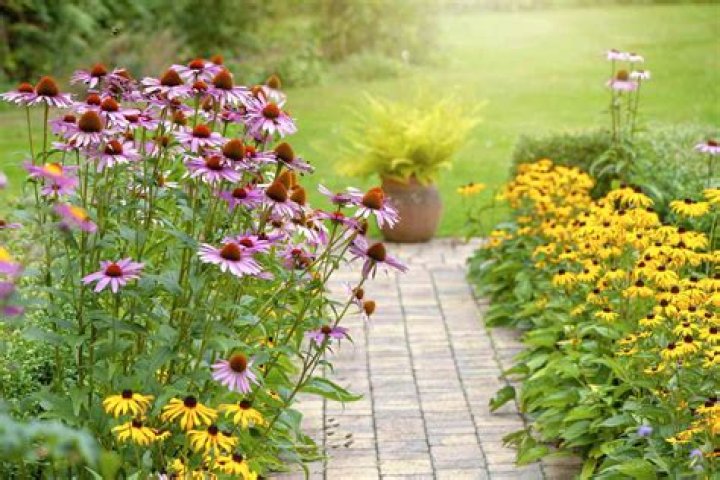 Can perennials be planted in the fall?