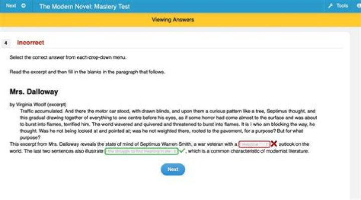 Can you use an excerpt?