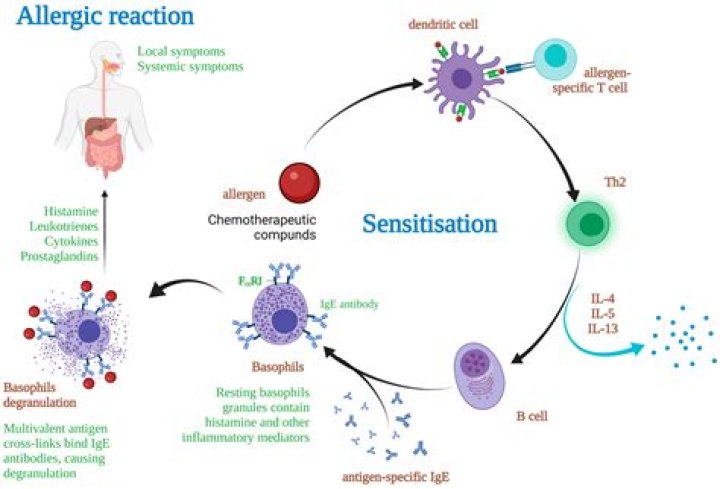 Could i be allergic to lipids?