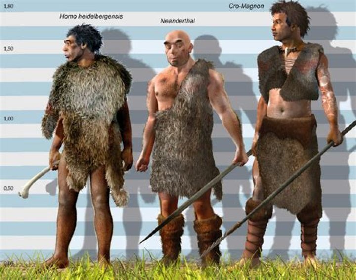 Did cro magnon and neanderthal coexist?