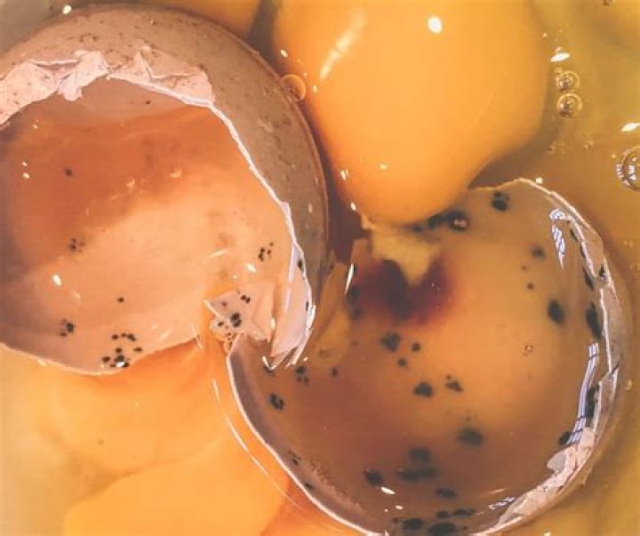Did i eat a rotten egg?