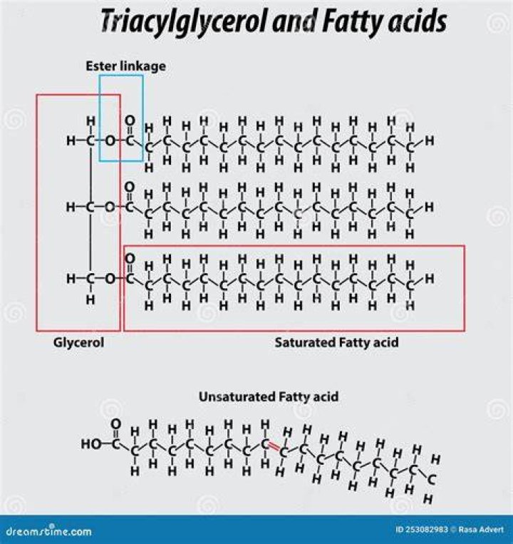 Do cholesterol contain fatty acids?
