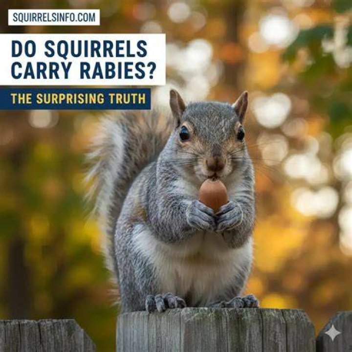 Do squirrels have rabies?