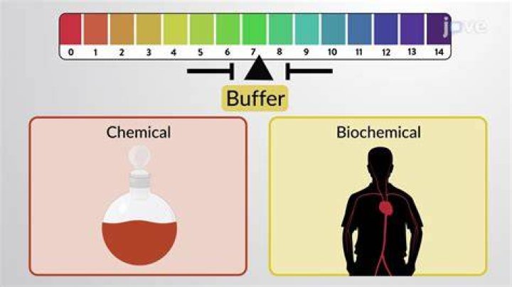 Does a buffer donates h+?