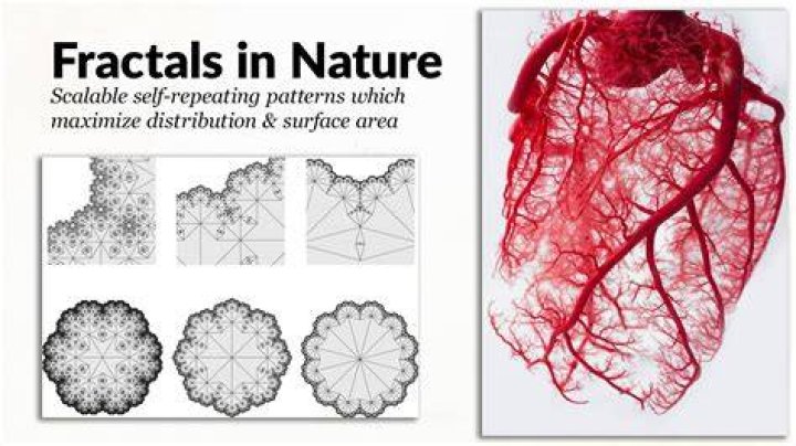 Does fractals appear in nature?