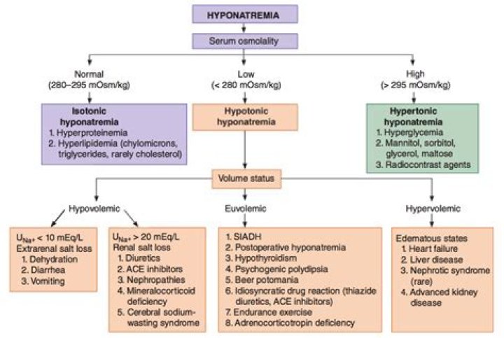 Does hctz cause hyponatremia?