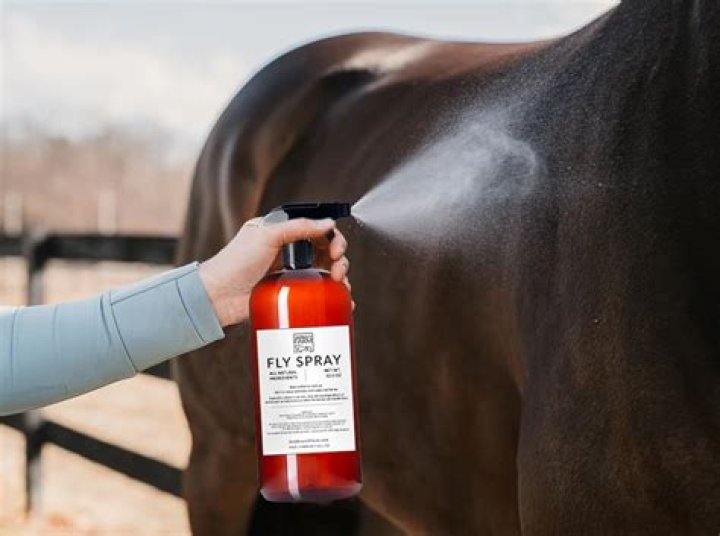 Does horse fly spray expire?