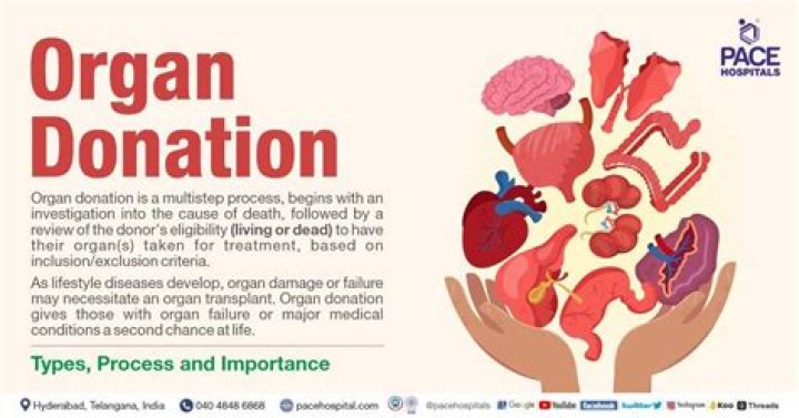 Does organ donation disfigure your body?