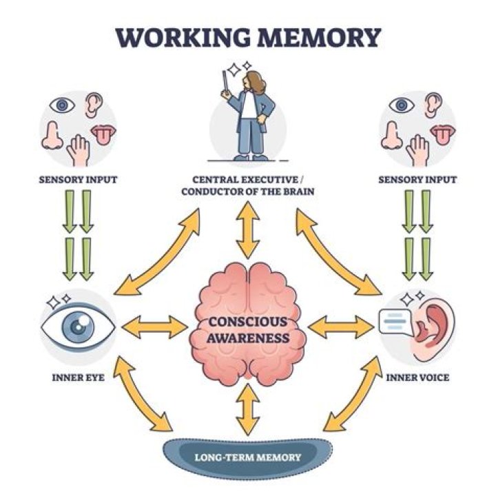 Does recovered memory work?