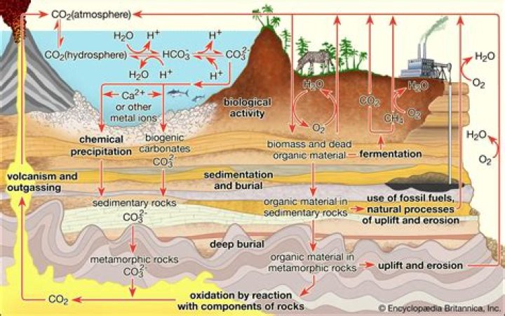 During volcanic eruptions carbon moves from the to the atmosphere?