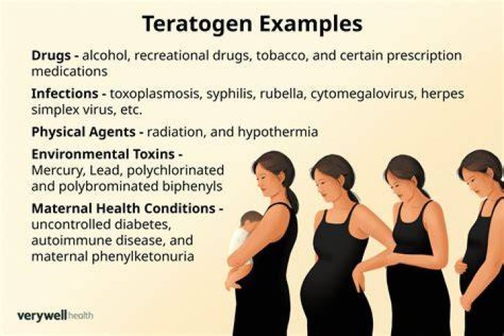 During which process is exposure to teratogens most damaging?