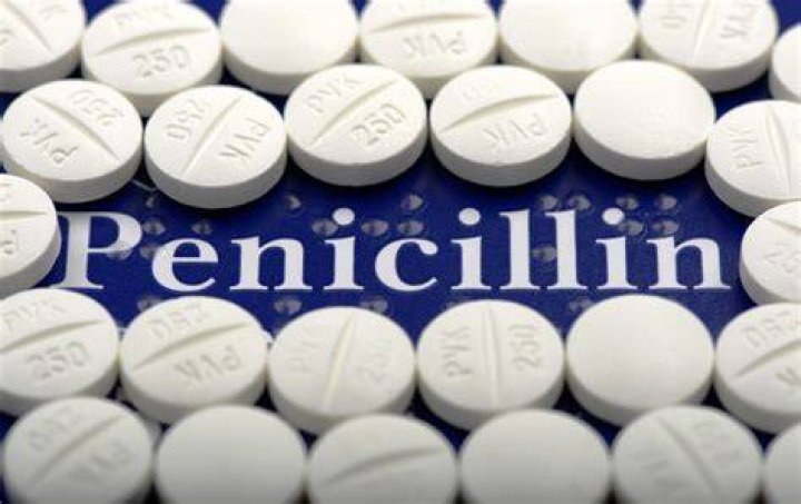 Has stilton got penicillin in it?