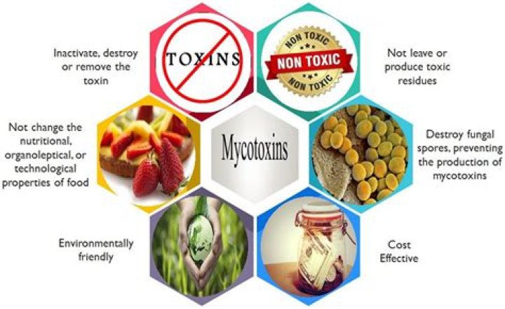 How are toxins produced?