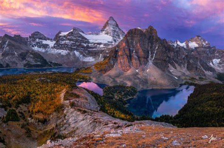 How big is assiniboine forest?