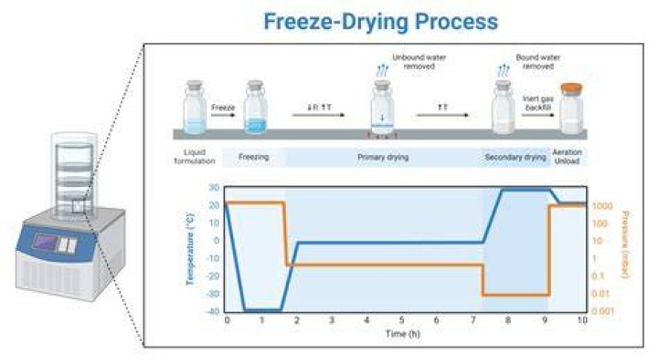 How does freeze drying preserve the plasma?