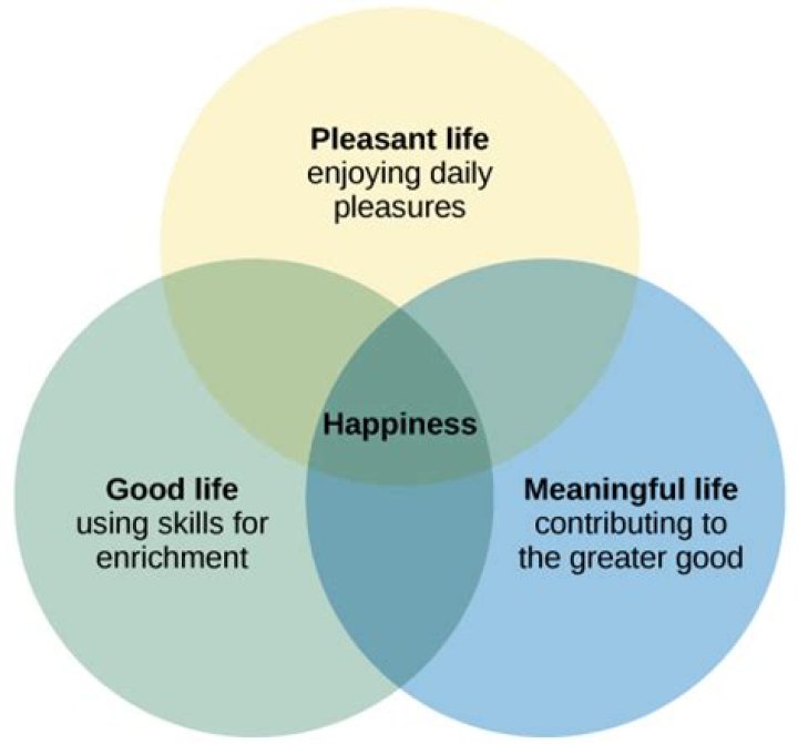 How does seligman define the meaningful life?