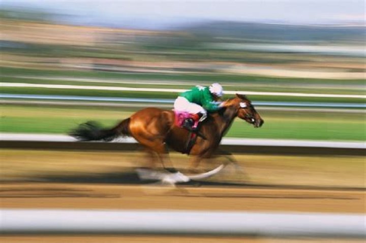 How fast do racehorses run?