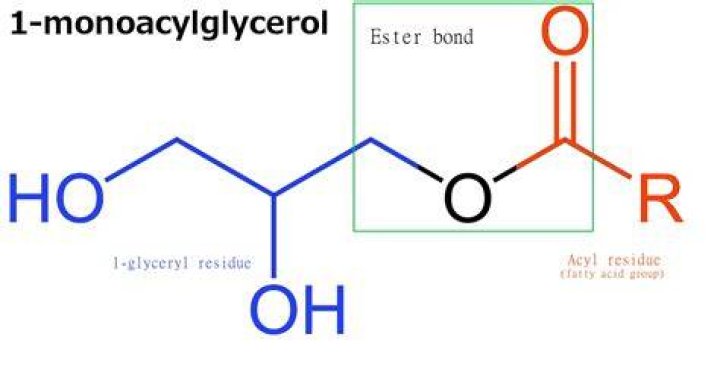 How is monoglyceride produced?