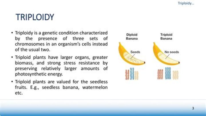 How is triploidy detected?