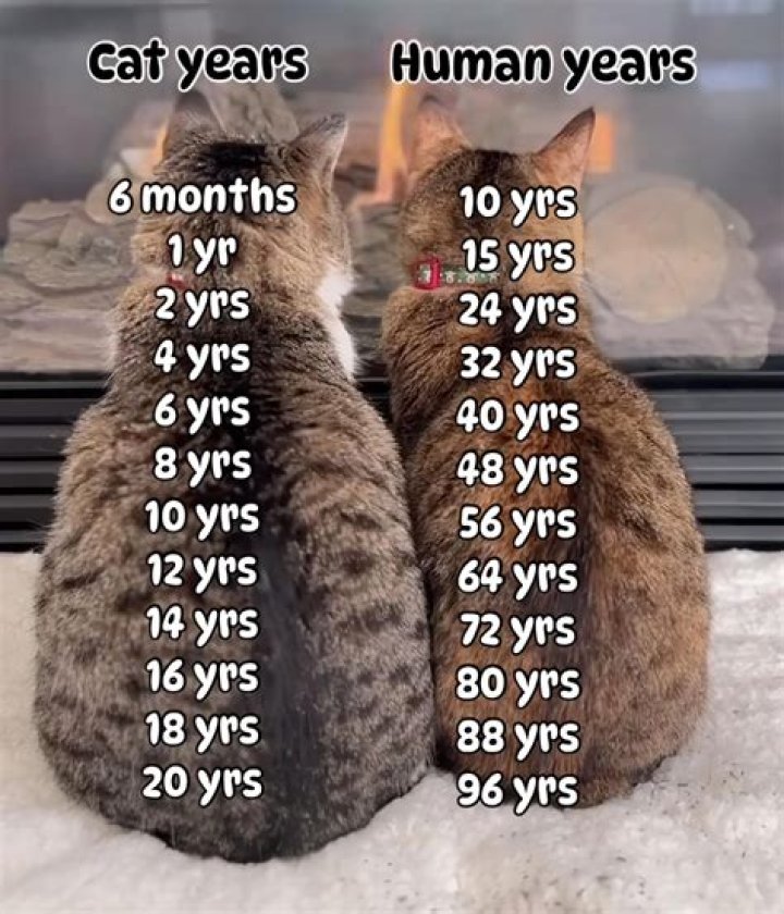 How many years bsce?