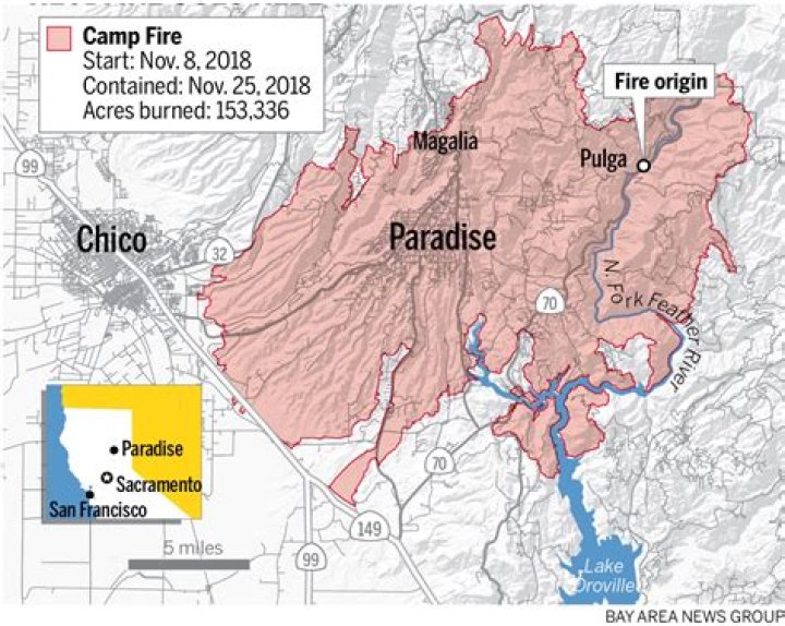 How paradise fire started?