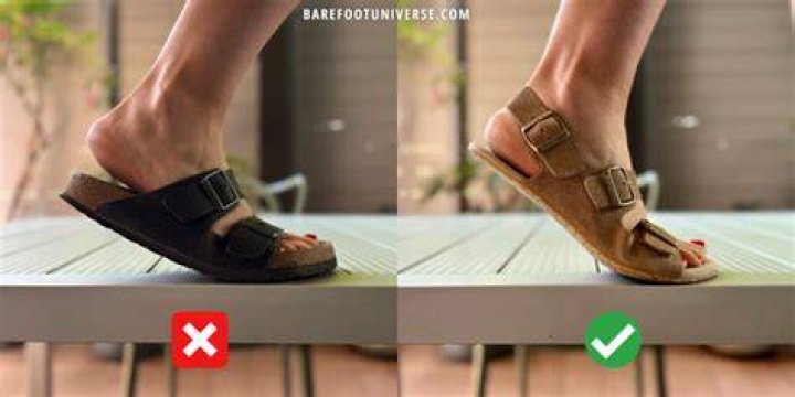 How should my gizeh birkenstocks fit?