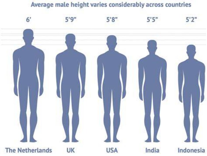 How tall is the average male?