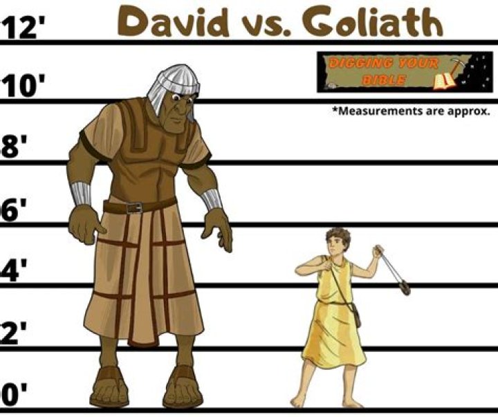 How tall was goliath?