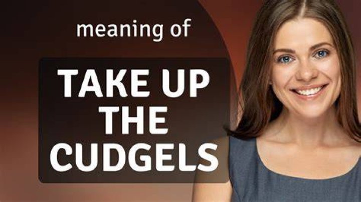 How to use take up the cudgels in a sentence?