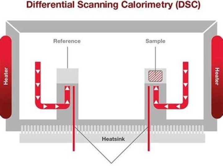 In a differential scanning calorimetry?