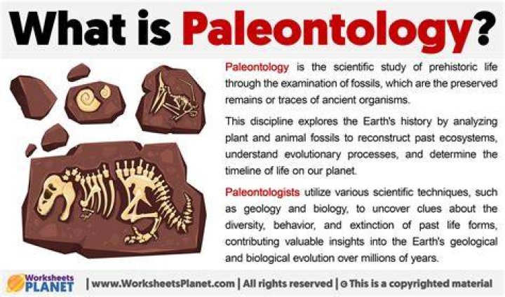 In science what is paleontology?