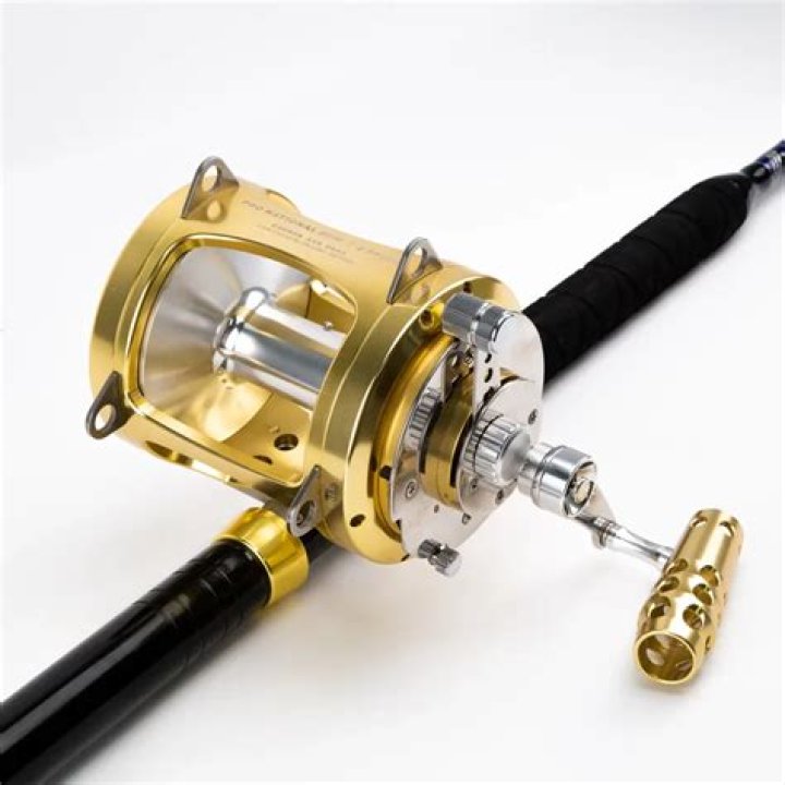 In tuna fishing what is a green stick?