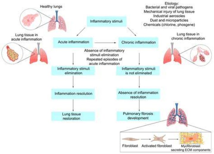 Is a chronic respiratory disease?