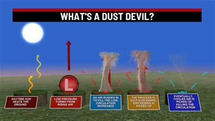 Is dust up a real word?