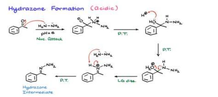 Is hydrazine an organic compound?