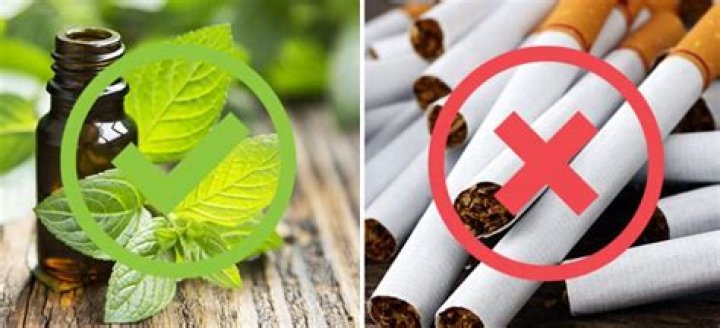 Is menthol bad for you?