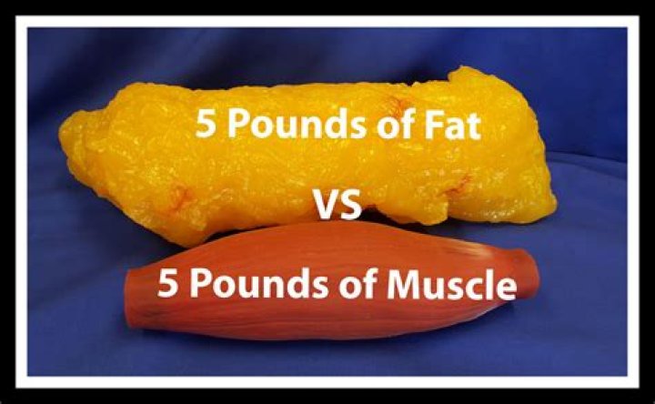 Is muscle heavier than fat?