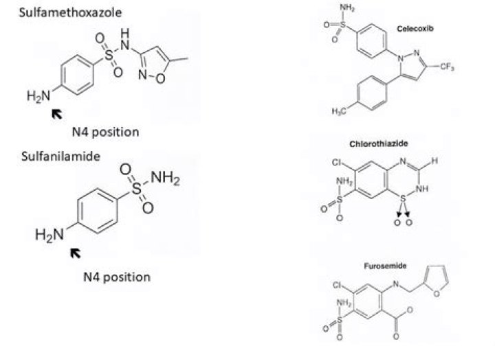 Is nitrofurantoin a sulfonamide?
