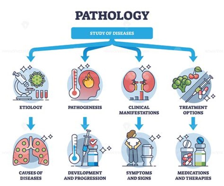 Is pathogenesis and pathology same?