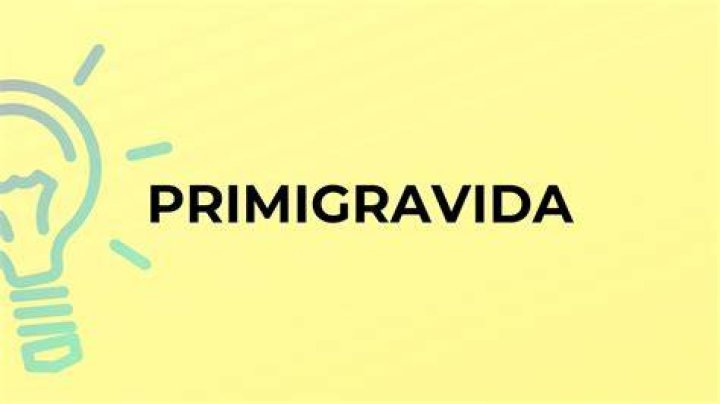 Is primigravida in english word?