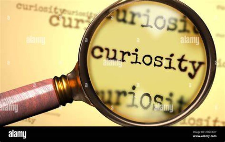 Is there a word curiousness?