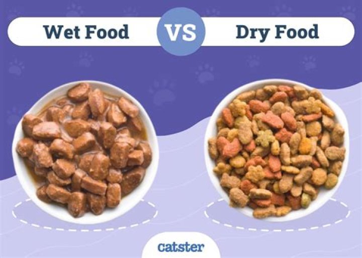 Should oak be split wet or dry?