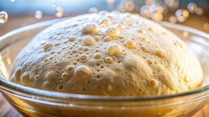 Should yeast bubble when added to warm water?